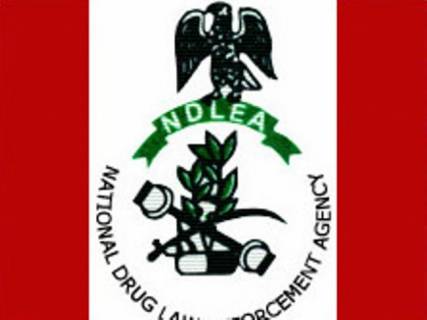 2018 NDLEA Job Recruitment | NDLEA Application & Guidelines